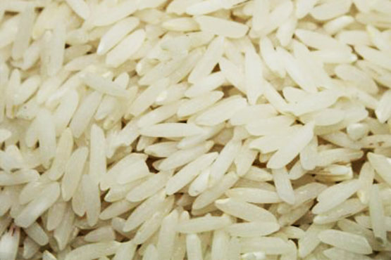 علی کاظمی-شناخت انواع برنج ایرانی