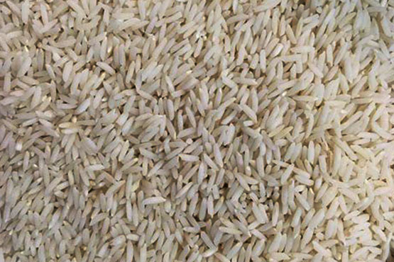 برنج هاشمی شناخت انواع برنج ایرانی