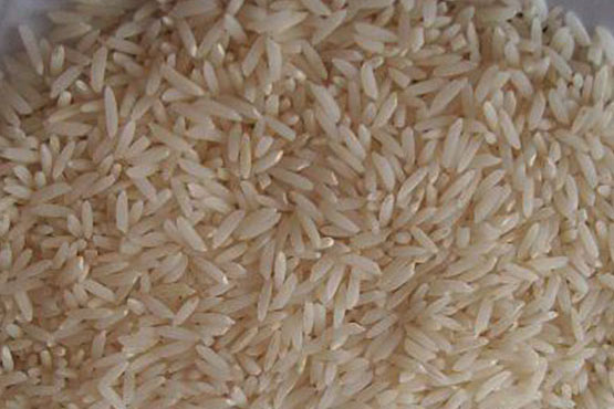 شناخت انواع برنج ایرانی