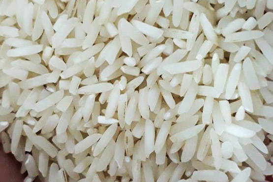 برنج شیرودی درجه ۱