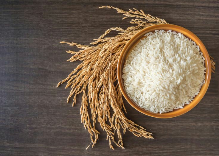 نکات مهم در پخت برنج تازه 