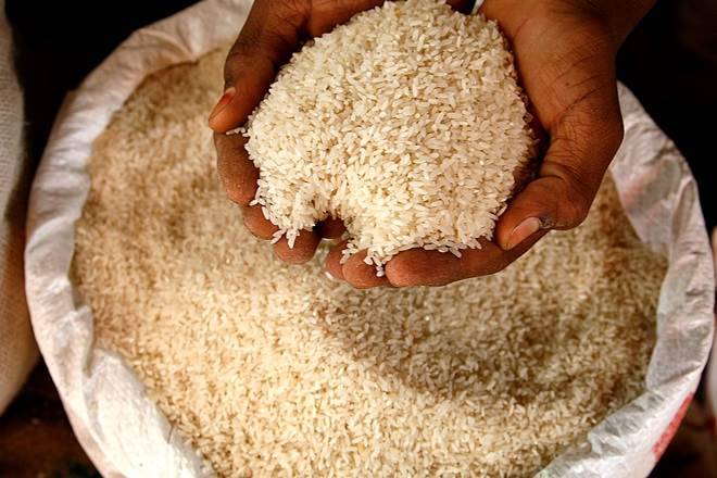 انتخاب برنج برای برنج فروشی‌های شمال کشور 