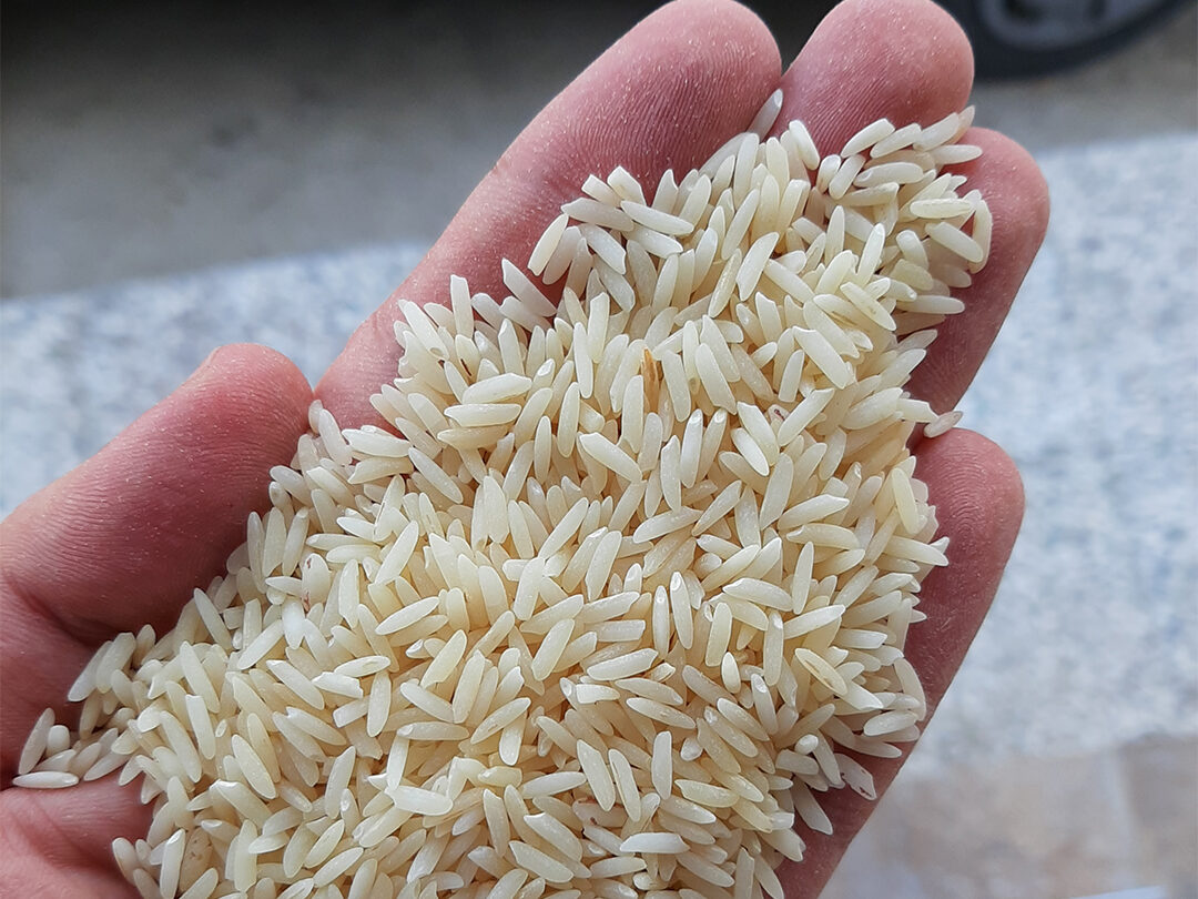 برنج دودی چیست؟