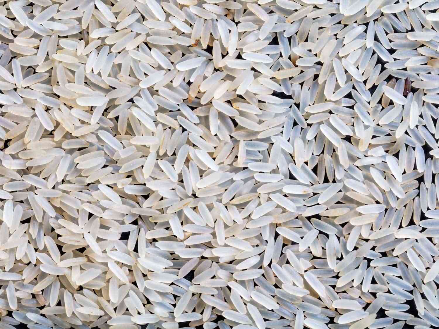 برنج گیلانی صدری