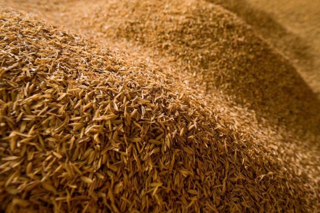 تفاوت شلتوک و سبوس برنج